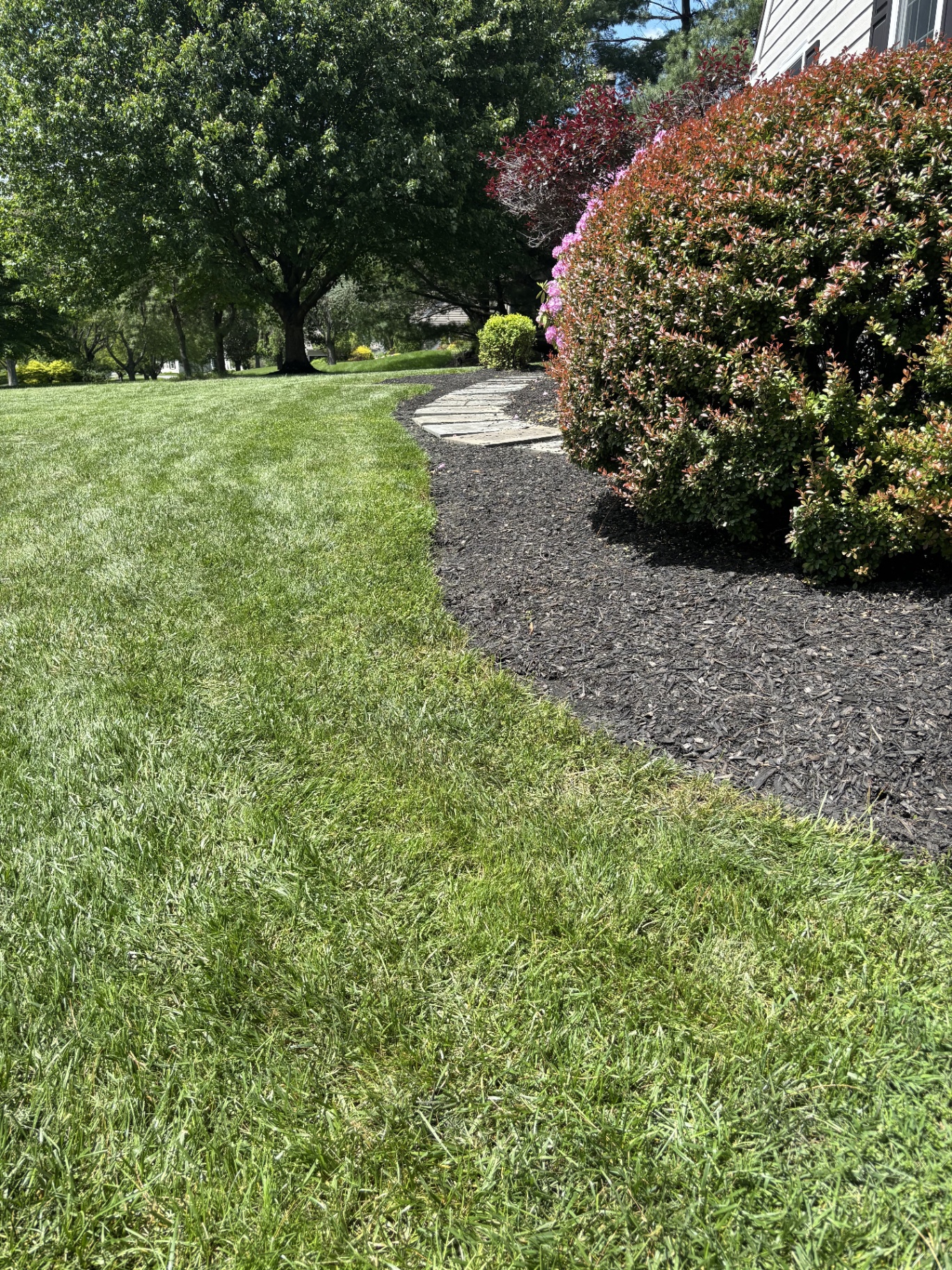 CMC's Landscaping